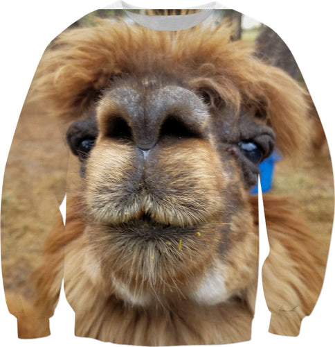 Llama Love