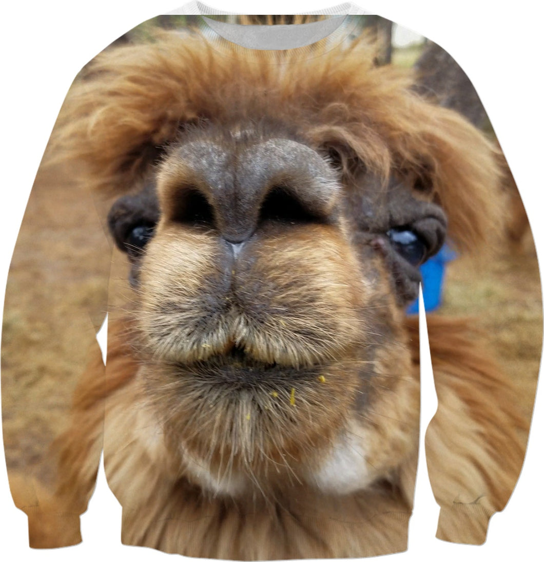 Llama Love
