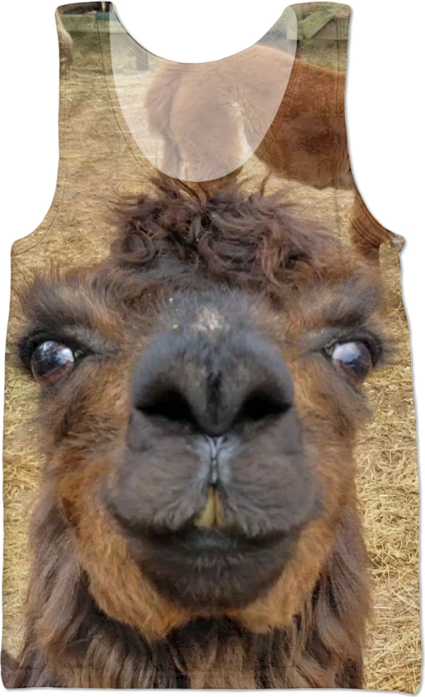 Llama Love