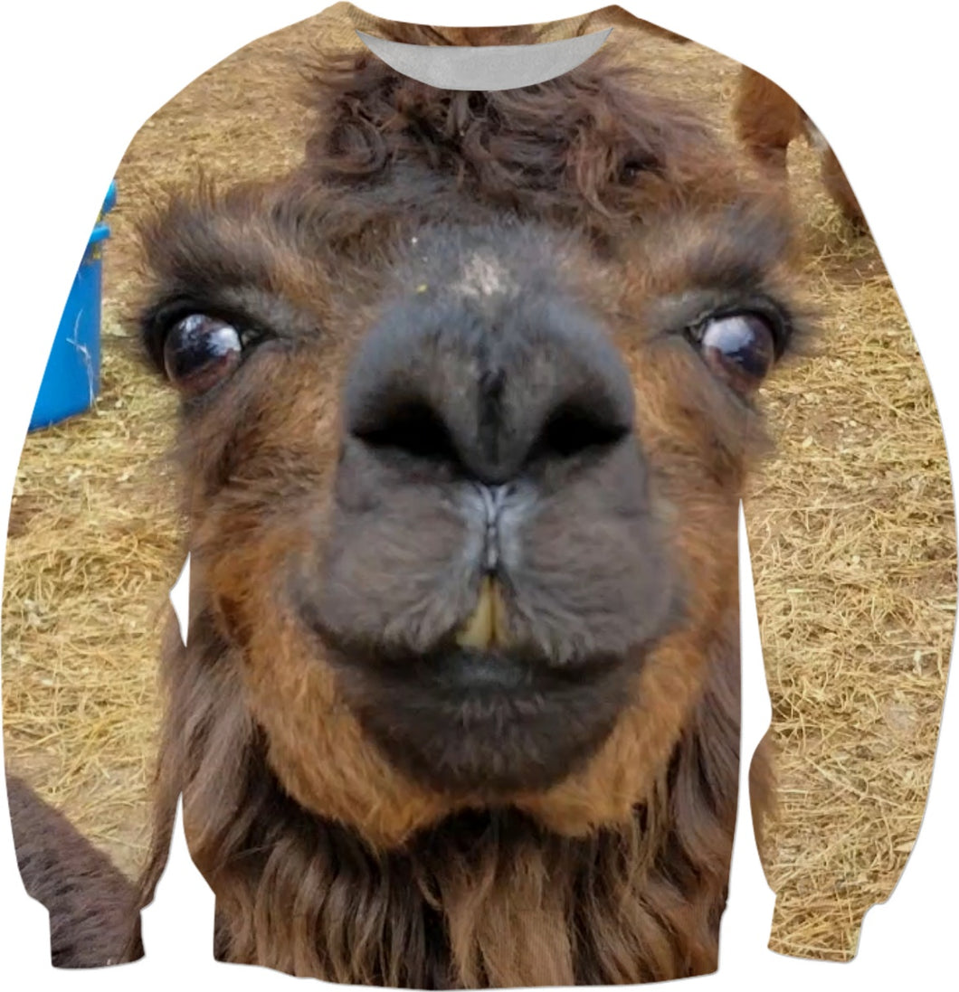 Llama Love