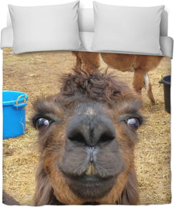 Llama Love Duvet Cover