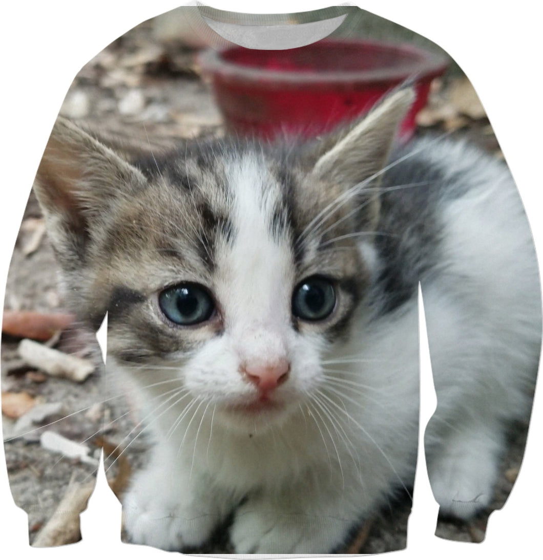 GREY KITTY