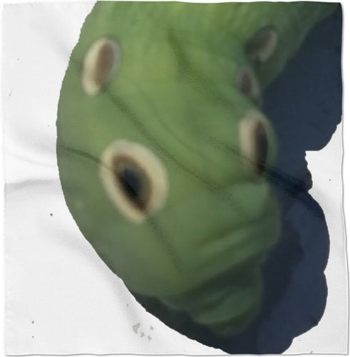 Cool Caterpillar
