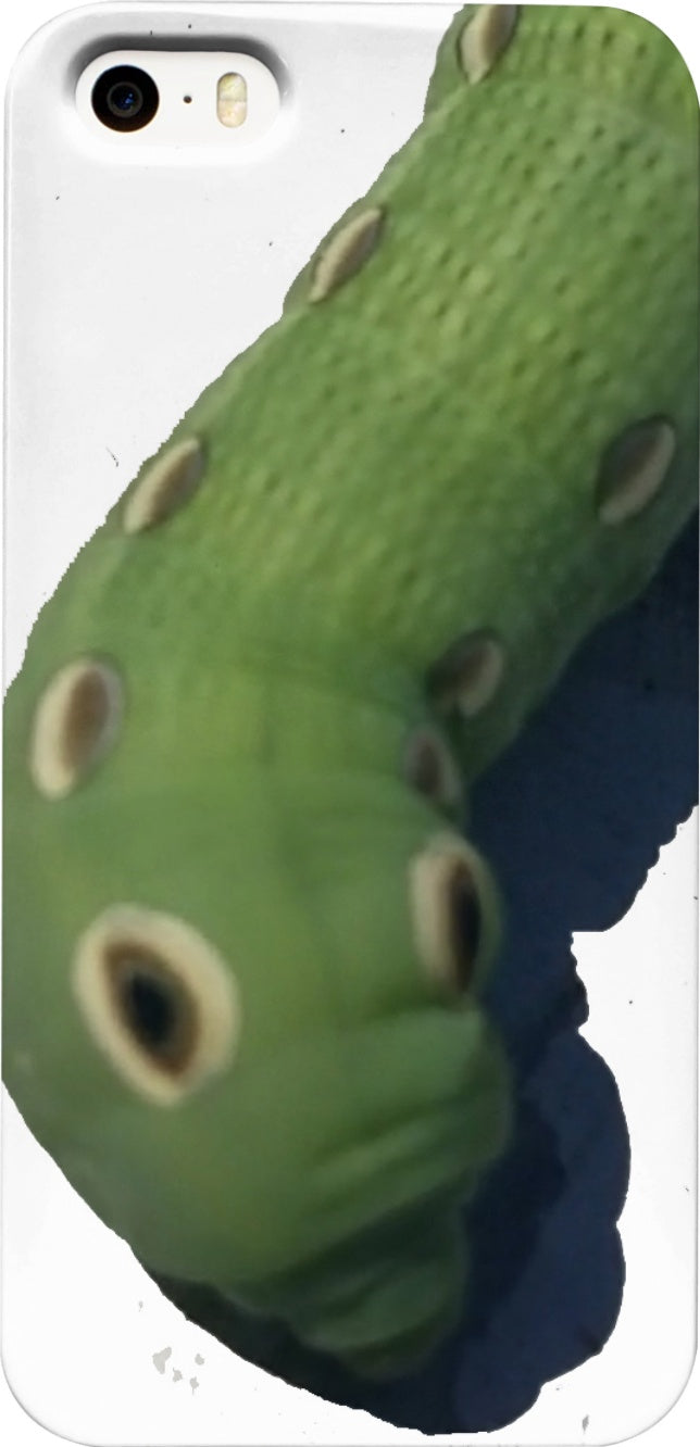 Cool Caterpillar