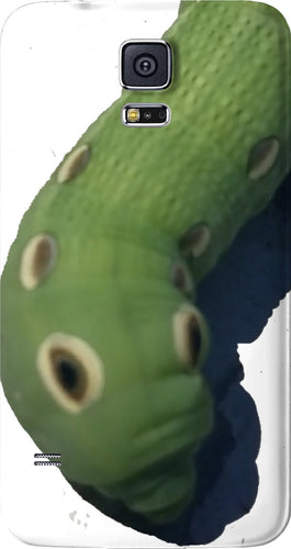 Cool Caterpillar