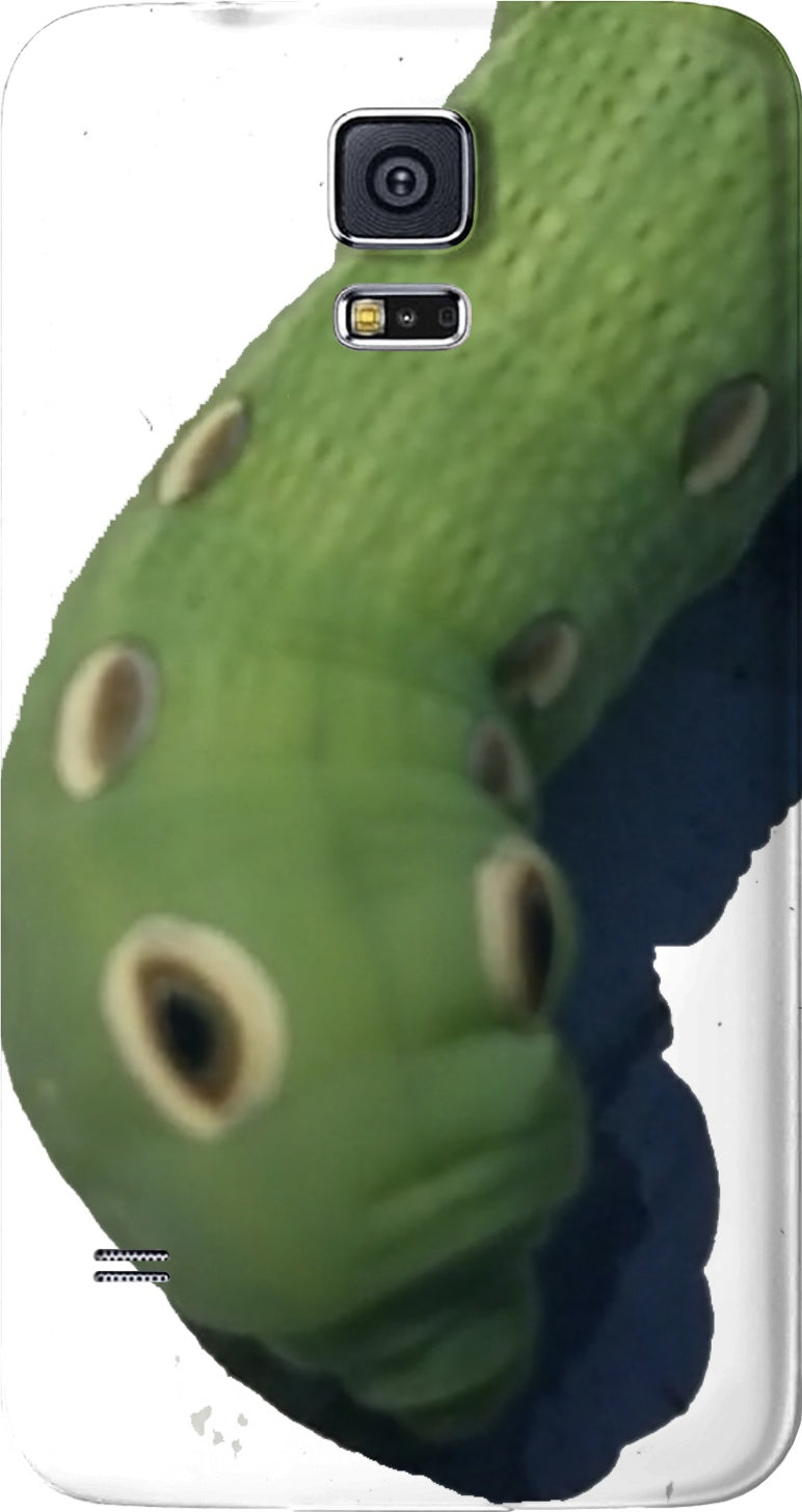 Cool Caterpillar