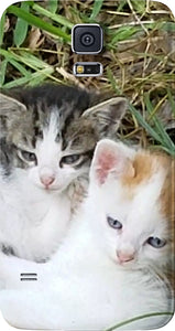Kitty Cousins