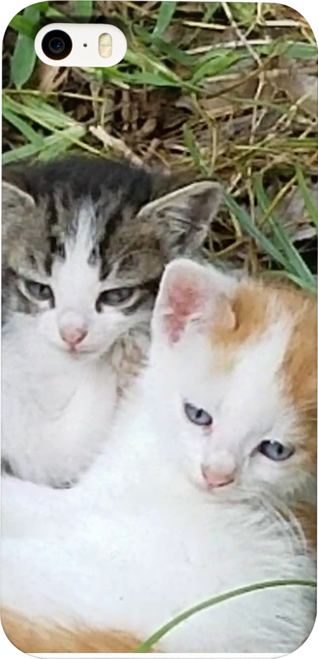 Kitty Cousins