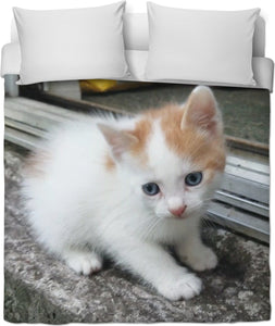 CUTE KITTEN POSING DUVET COVER